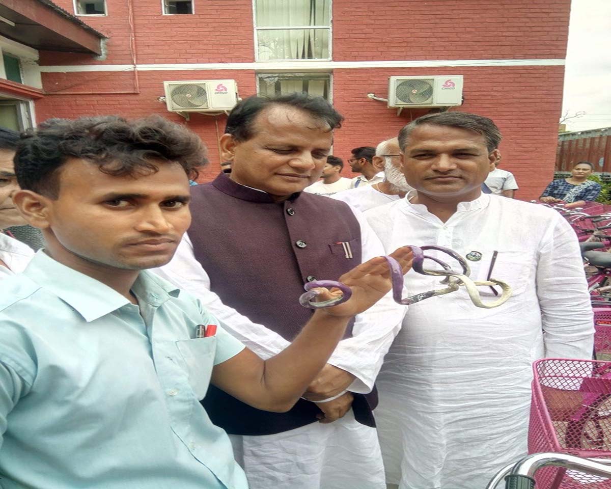 dinesh- shigh- yadav6436.jpg